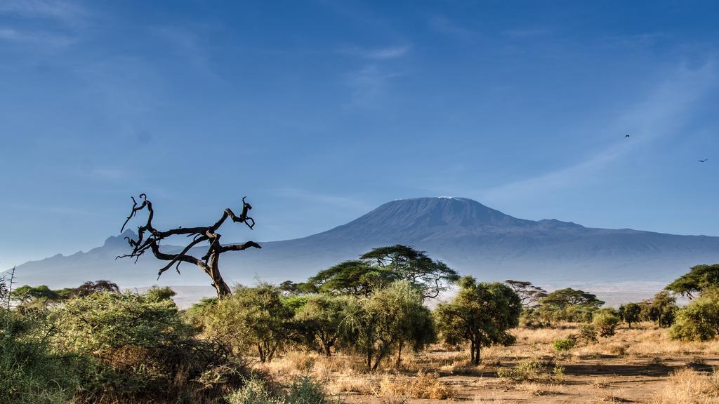 Sentrim Amboseli Lodge Værelse billede